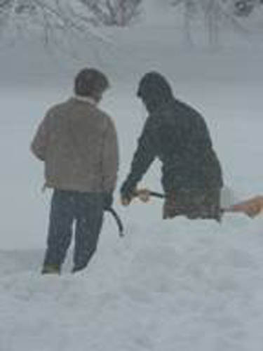 Neighbors work together to clear driveways.